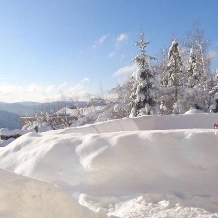 Laptitevosgienne VUE LAC à Gérardmer ! Esterno foto