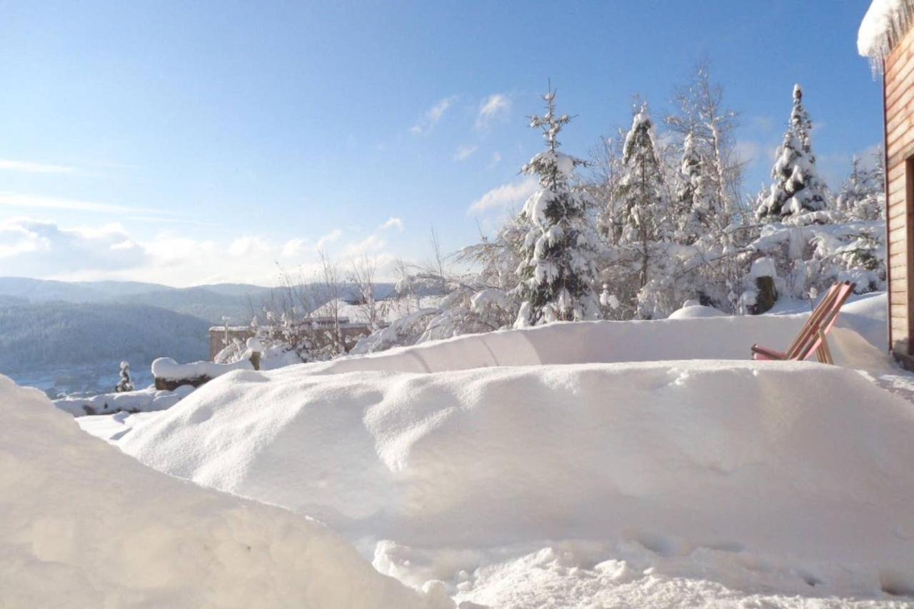 Laptitevosgienne VUE LAC à Gérardmer ! Esterno foto